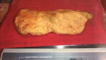 В Хабаровском крае нашли самородок золота весом 10,3 килограмма