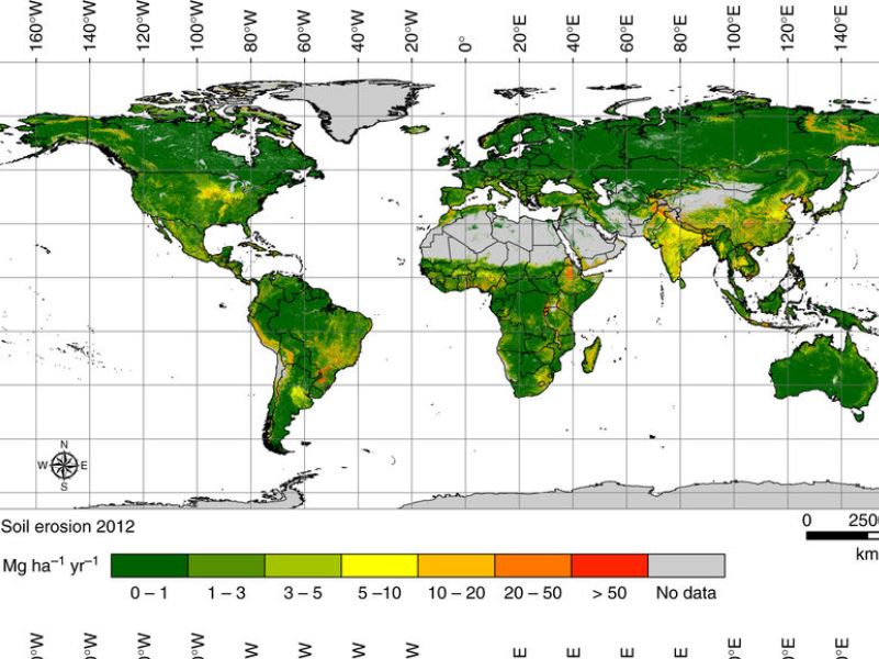 На нашей планете прогрессирует процесс эрозии почвы