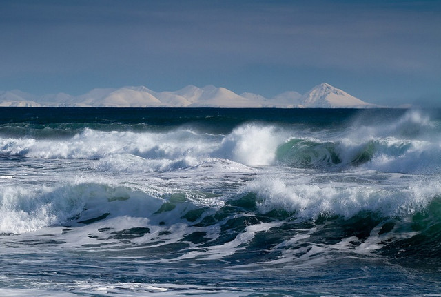 Тихоокеанские глубины продолжают пугать ученых загадочными звуками