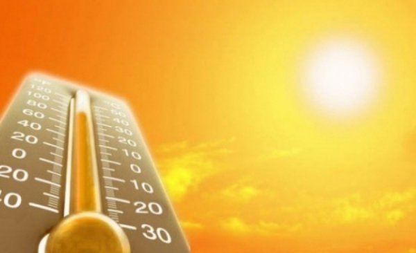 В Ростовской области ожидается аномальная жара