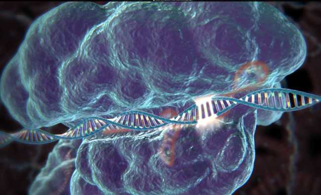 Человеческое ДНК будет превращено в пулю