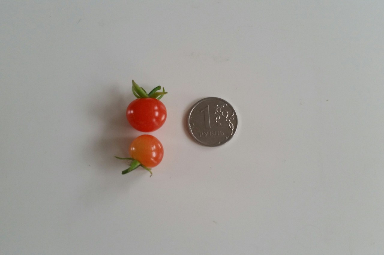 Урожай томатов в этом году
