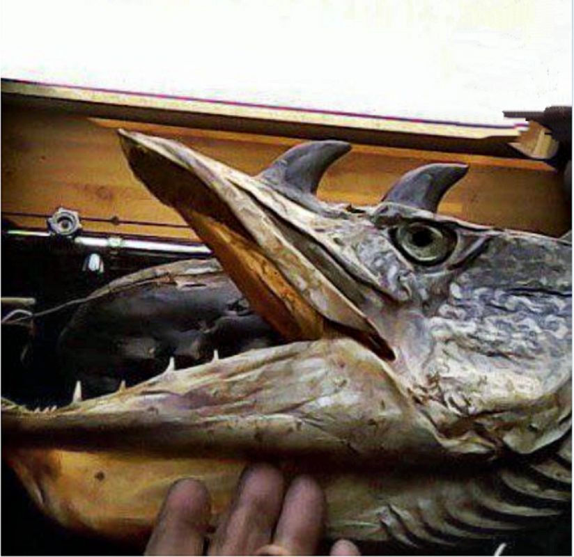 Омский рыбак показал фото пойманного подводного дракона