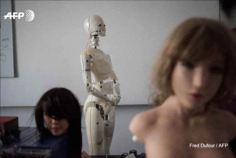 В Китае создали секс-роботов, которые умеют мыть посуду