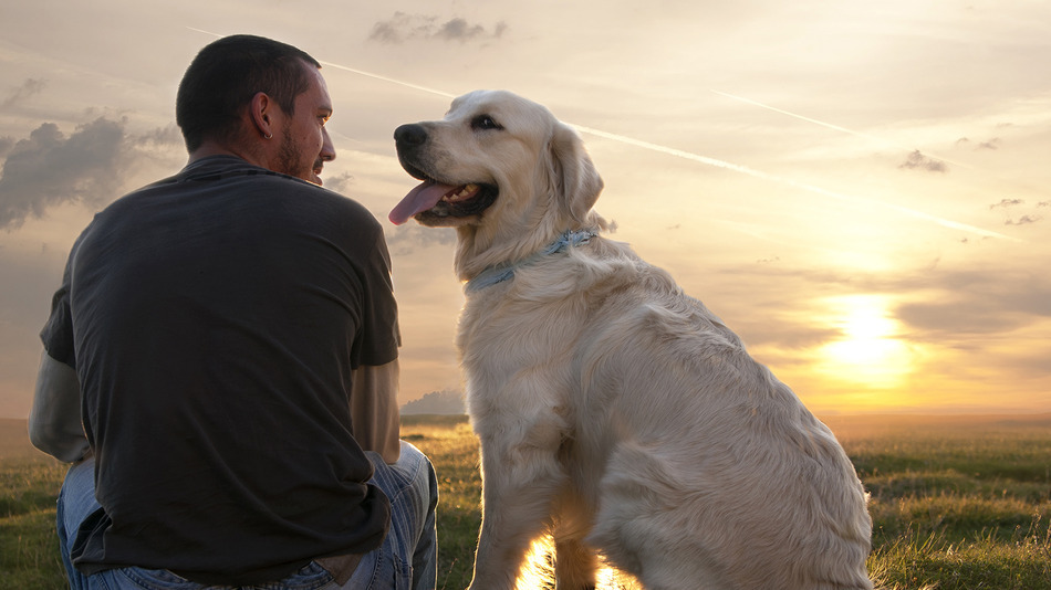 Эмоциональной связи между людьми и собаками более 14 000 лет