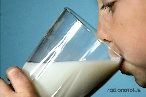 Пить или не пить молоко?