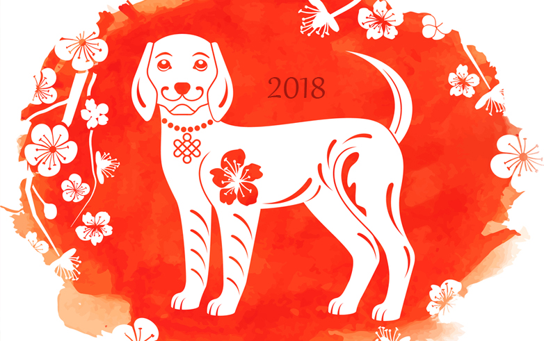 Напутствия для всех знаков Зодиаков на 2018 год — год Жёлтой собаки