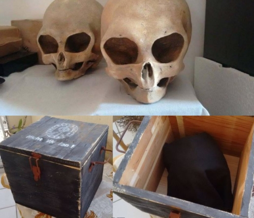 В России найден ящик с логотипом Аненербе и необычными черепами.(+Видео)