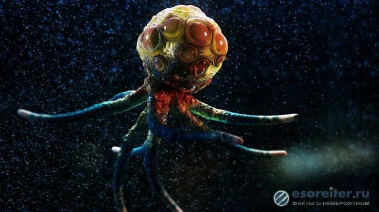 Астрофизик Митио Каку рассказал о Божественной матрице и инопланетянах в виде осьминогов
