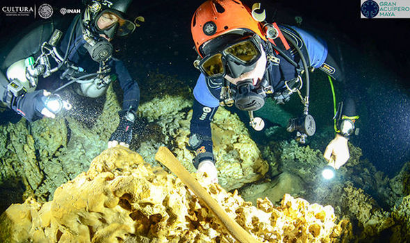 Ученые находят 9,000-летний человеческие останки и кости животных Ледникового периода в Мексике пещеры