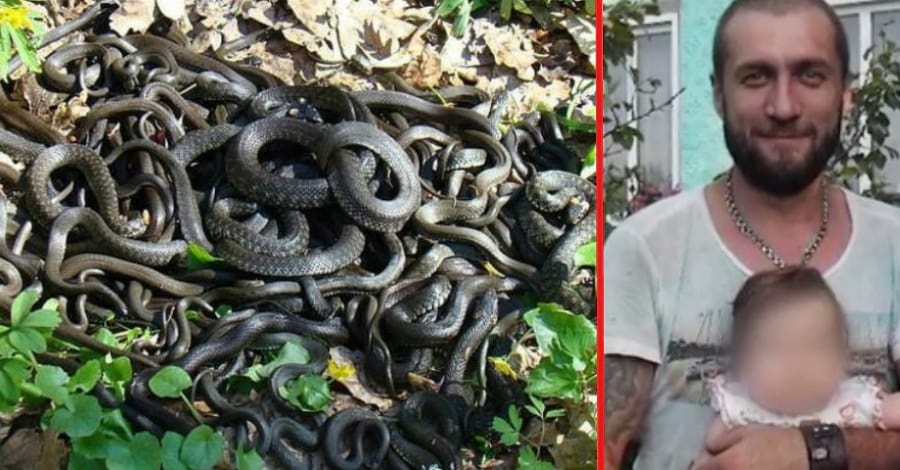 Мужчину покусало 37 змей. После чего он сутки полз по лесу, чтобы добраться до людей
