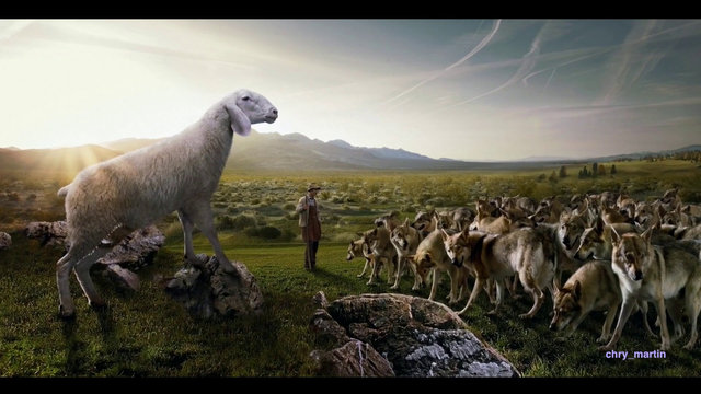 Волки и овцы – или возможна ли социальная справедливость на земле?