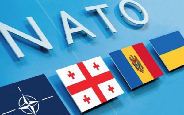 НАТО возрождает дивизию СС «Галичина» в международном масштабе