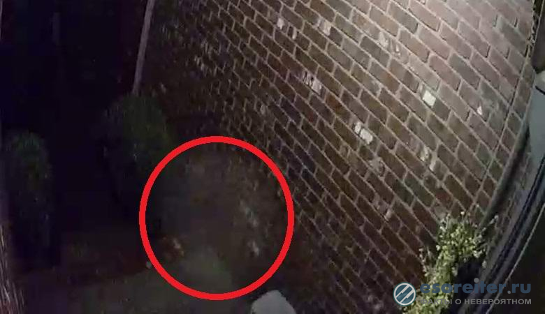 Привидение спускается по лестнице на загадочном видео