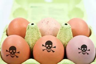 Европу охватила паника: ядовитые яйца находят на прилавках магазинов