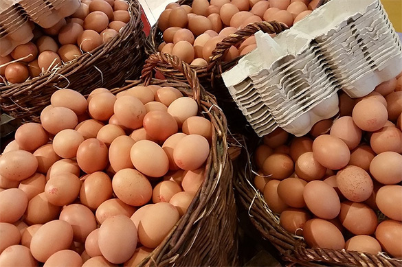 Россельхознадзор рассказал, могут ли отравленные яйца из ЕС попасть в Россию