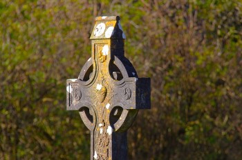 Кладбища переполнены: власти Украины предложили гражданам хоронить умерших в парках