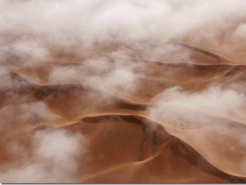 Необычная планета: туман и роса – источники жизни