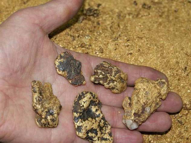 Геологи ищут золото в горах Северной Осетии