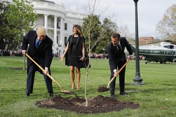 Символично...В Вашингтоне загадочно пропал посаженный Макроном и Трампом саженец дуба