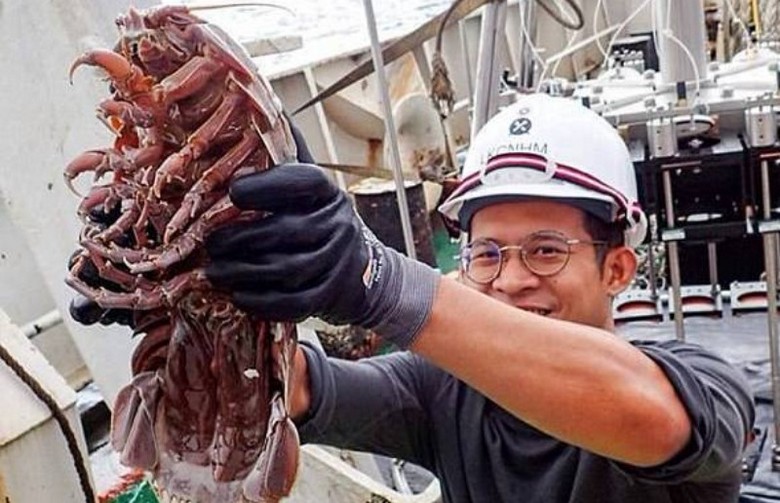 Гигантский подводный таракан найден на дне океана