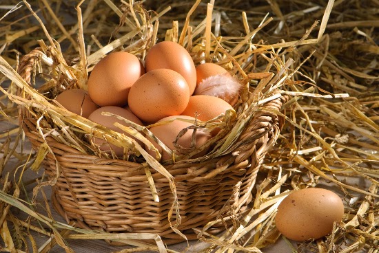 Ученые: ежедневное употребление яиц снижает риск сердечных болезней
