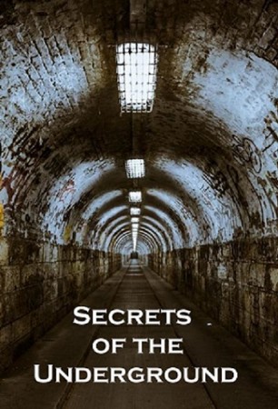 Секреты Подземелья / Secrets of the Underground (2017)