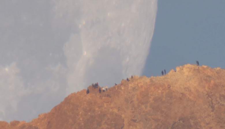 Удивительное видео демонстрирует невозможно гигантскую Луну