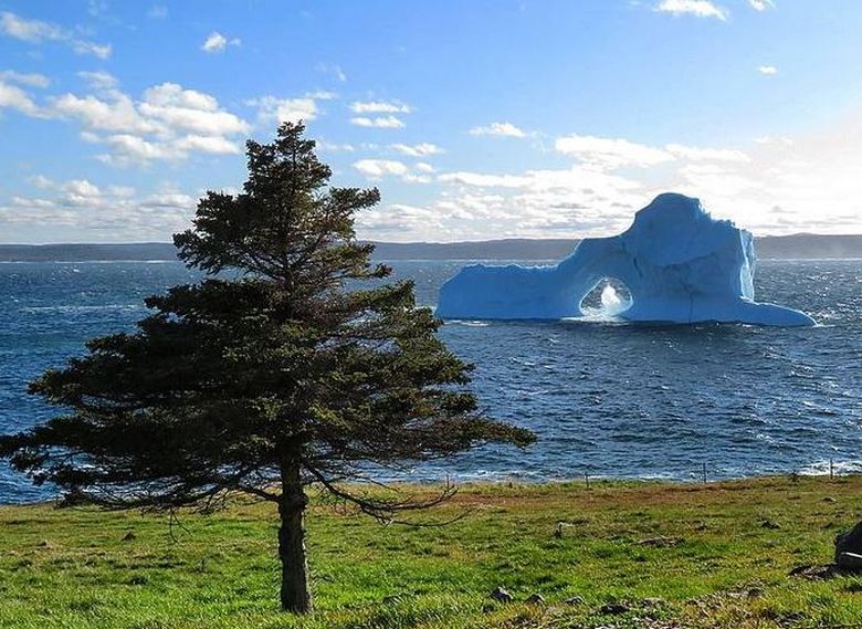 К берегам Канады приплыл самый необычный айсберг
