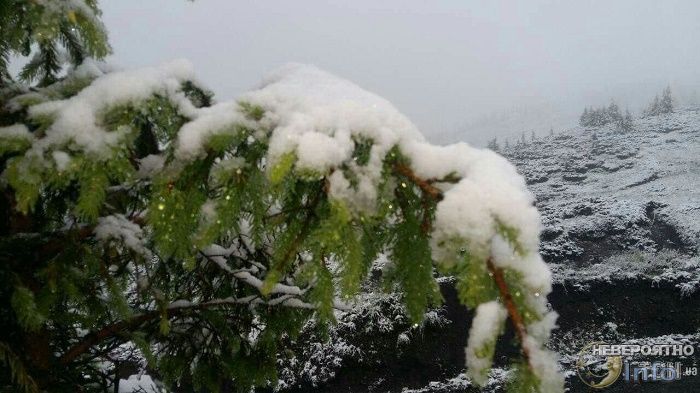 Карпаты засыпало снегом 23 июня высокогорный курорт Драгобрат в Закарпатской области Украины засыпало снегом.