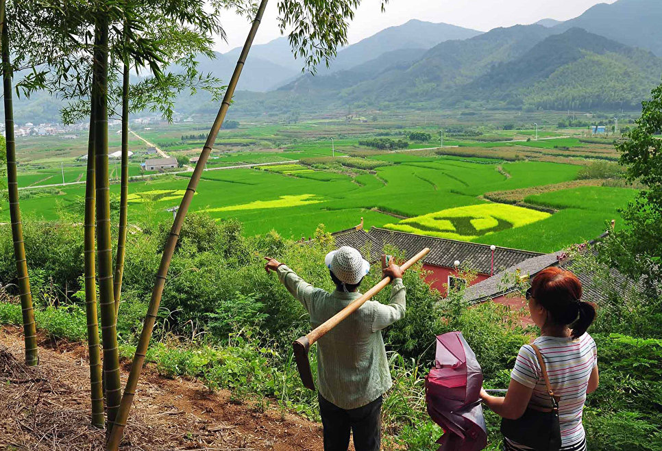Искусство на полях. Рисовые 3D-картины в Китае