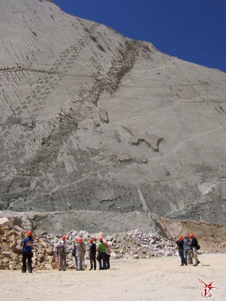 Стена динозавров в Боливии: как следы древних рептилий оказались на отвесной скале