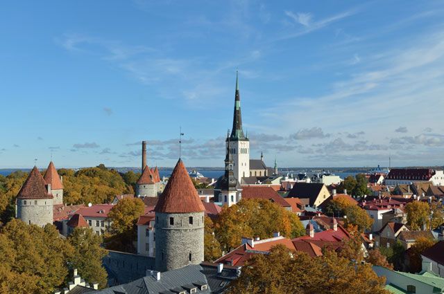 Посол США в Эстонии объявил об отставке из-за несогласия с политикой Трампа