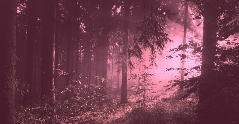Странные истории о плотоядном розовом тумане