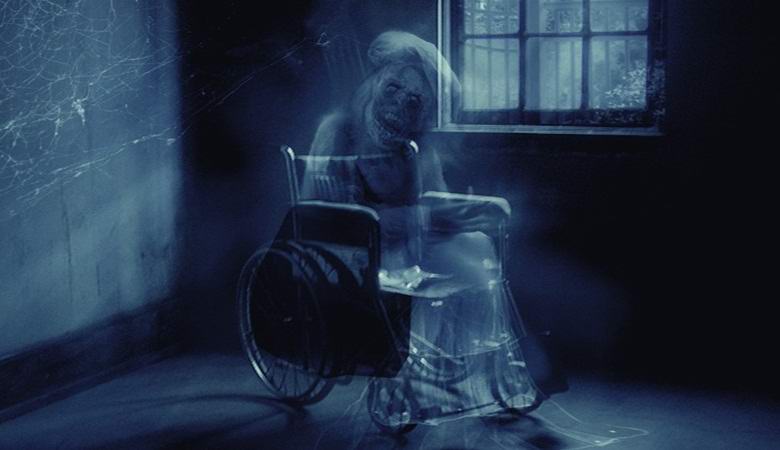 Австралийка сфотографировала фантом в инвалидном кресле