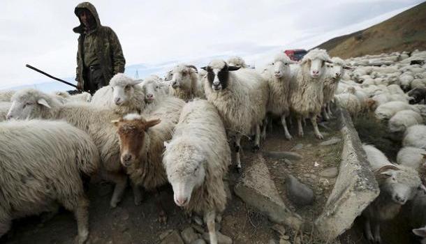 Грузинский пастух убил семью американских туристов