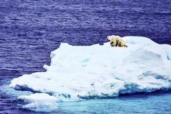 Ученые: От Гренландии откололся гигантский айсберг‍