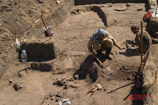 Войне вопреки. Как археологи в ДНР исследуют памятники времен Золотой Орды