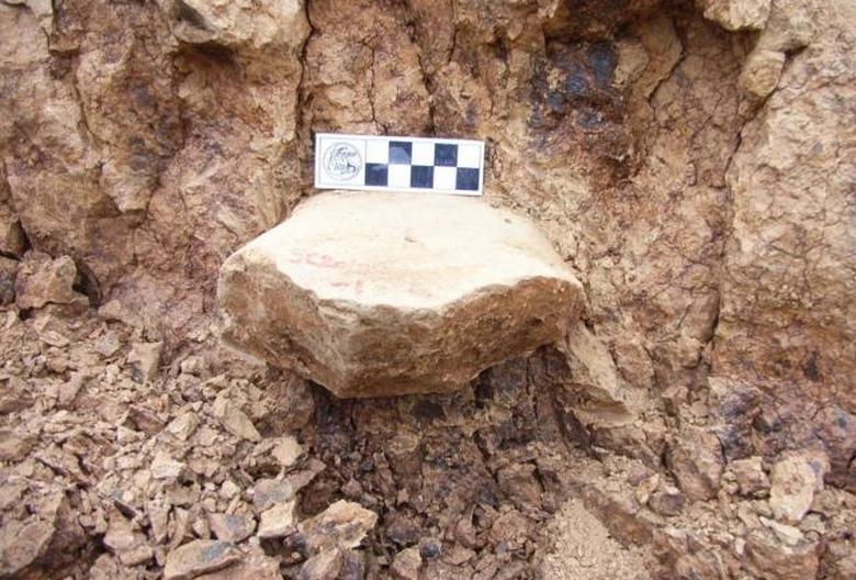 В Китае обнаружены древнейшие каменные орудия, способные «переписать» историю человечества