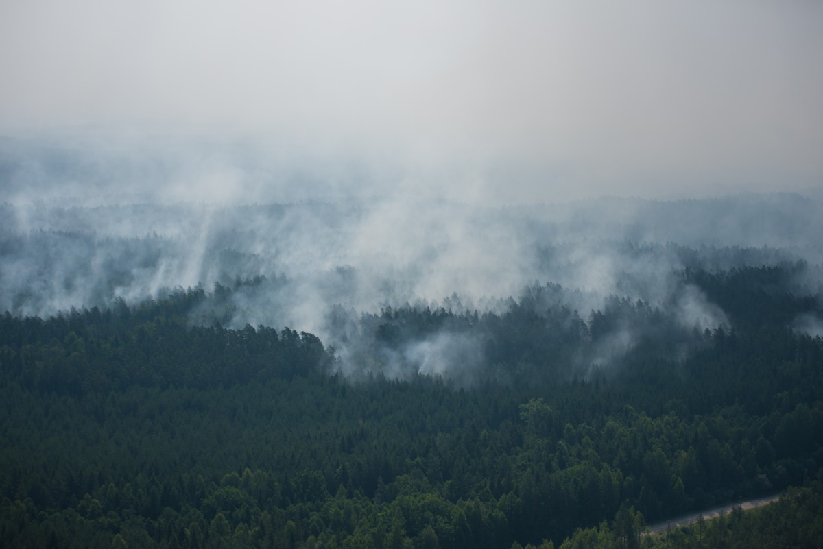 Евросоюз отказался тушить пожары в Латвии