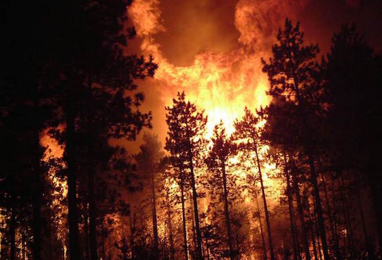 Лесные пожары, граничащие с мистикой