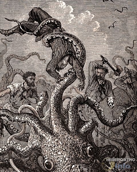 Как легенды о морских чудовищах оказались правдой