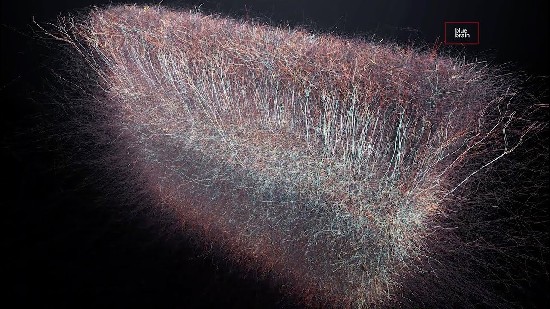 Сенсационное открытие: в нашем мозгу обнаружена Многомерная Вселенная