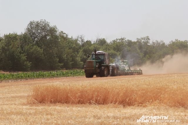 Россия только выиграет. По итогам года ожидается снижение урожая зерновых