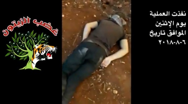 "Оливковый гнев" в Африне: за 48 часов убито 7 протурецких боевиков
