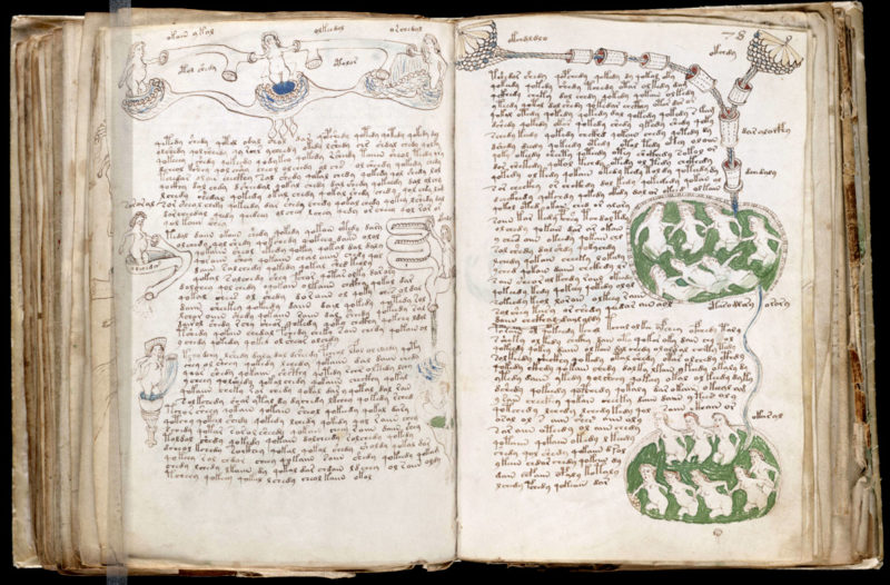 Манускрипт Войнича — самая загадочная рукопись в мире