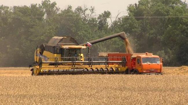 Уборка яровой пшеницы в Томской области в 2018г сдвинулась на сентябрь