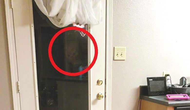 Серый пришелец заглянул ночью в дом семьи и попал на видео