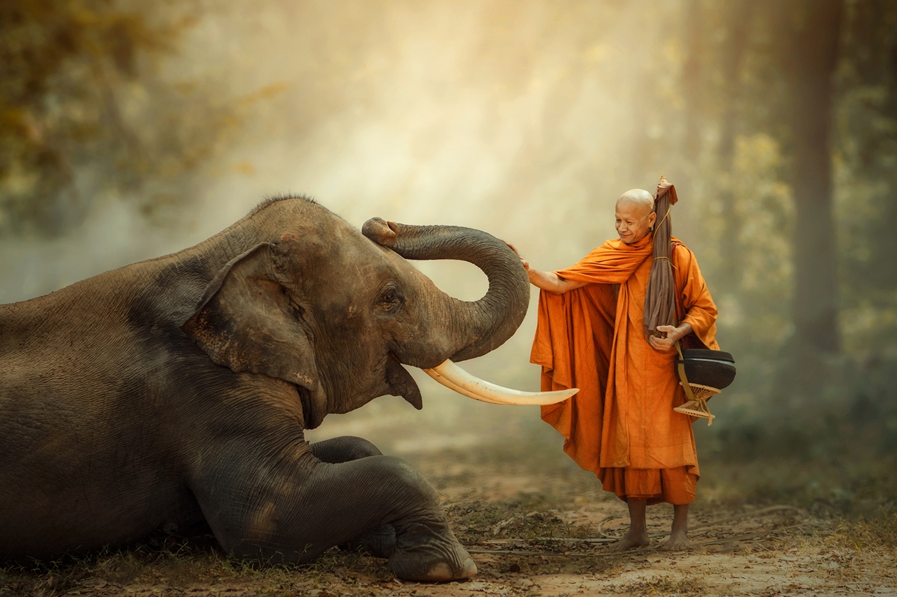 Животные в буддизме