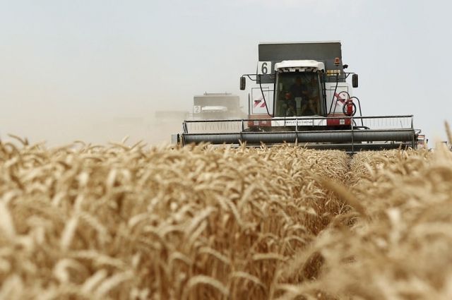 Урожай 2018 года в полном объеме обеспечит Россию зерном и хлебом